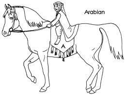 Horse 9